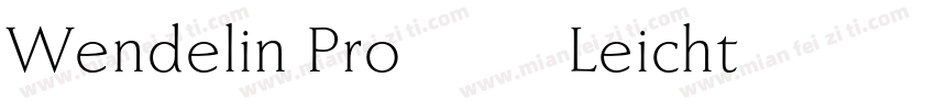 Wendelin Pro 45 Leicht字体转换